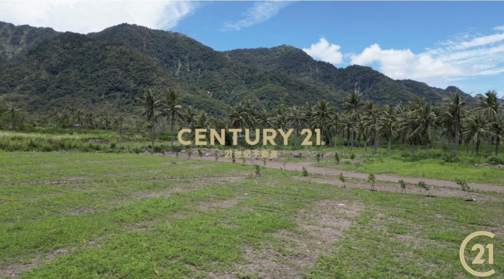 近都蘭背山面海景觀農地A