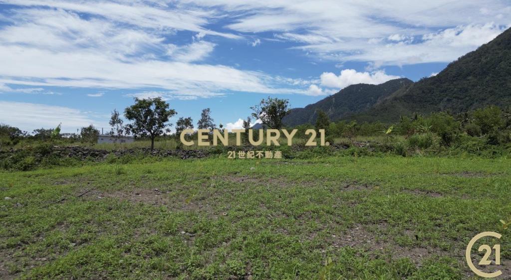 近都蘭背山面海景觀農地A