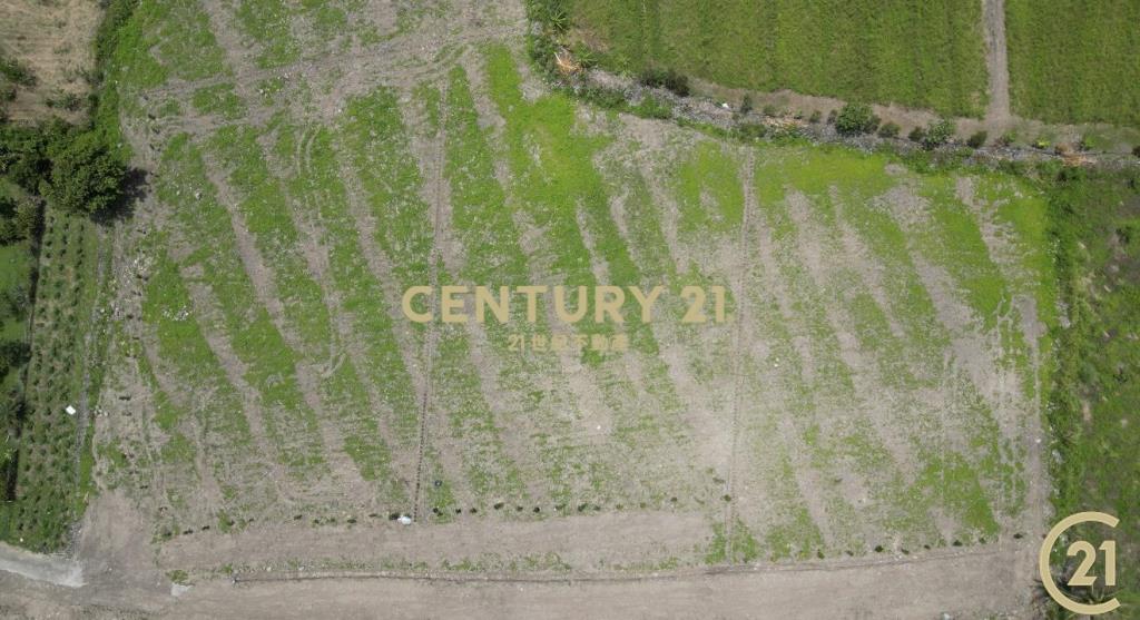 近都蘭背山面海景觀農地A