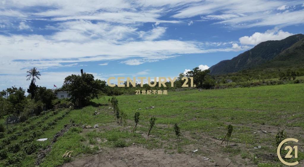 近都蘭背山面海景觀農地A