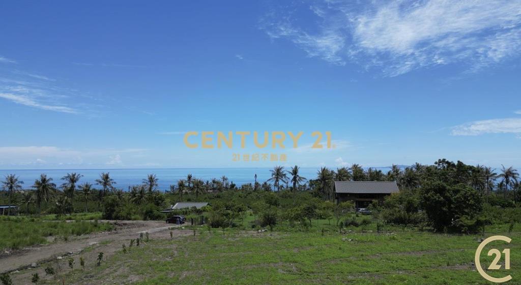 近都蘭背山面海景觀農地C