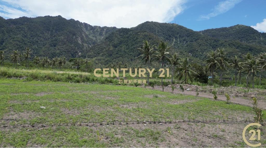 近都蘭背山面海景觀農地C