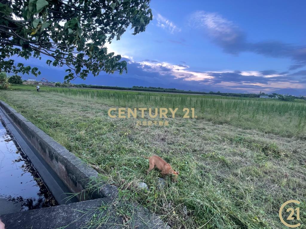 市郊有房有倉庫8分農地