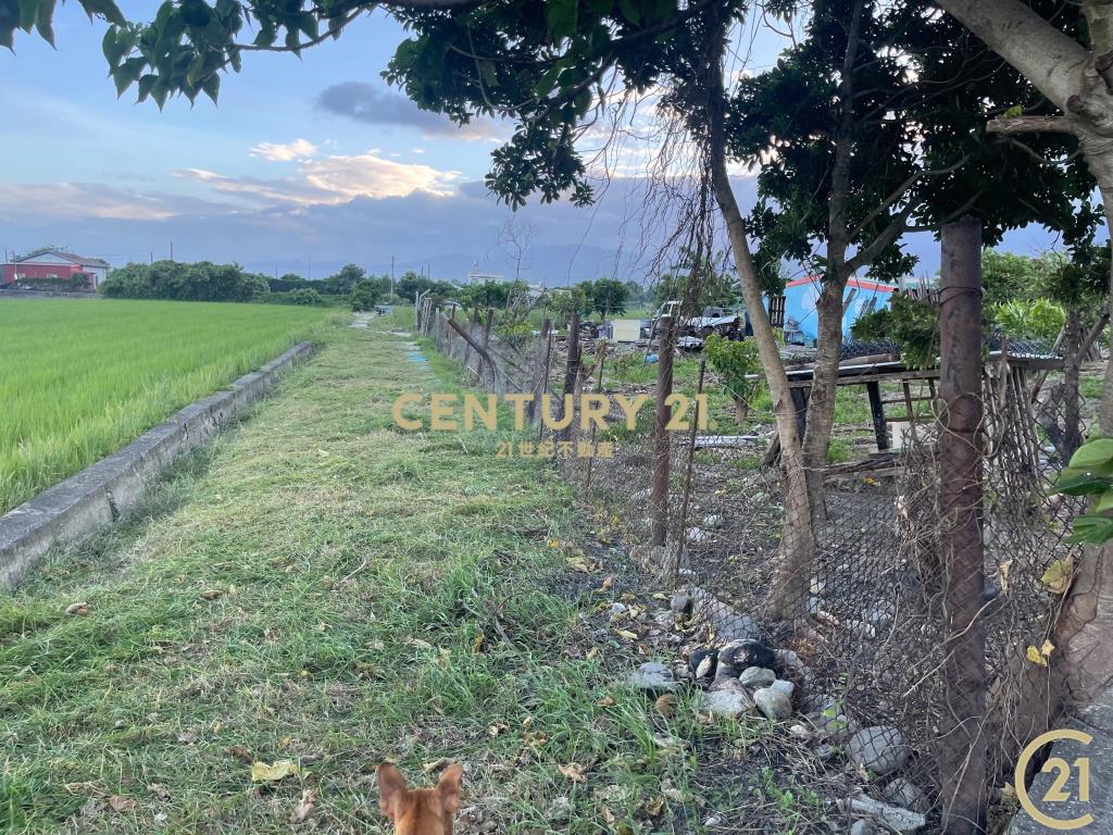 市郊有房有倉庫8分農地