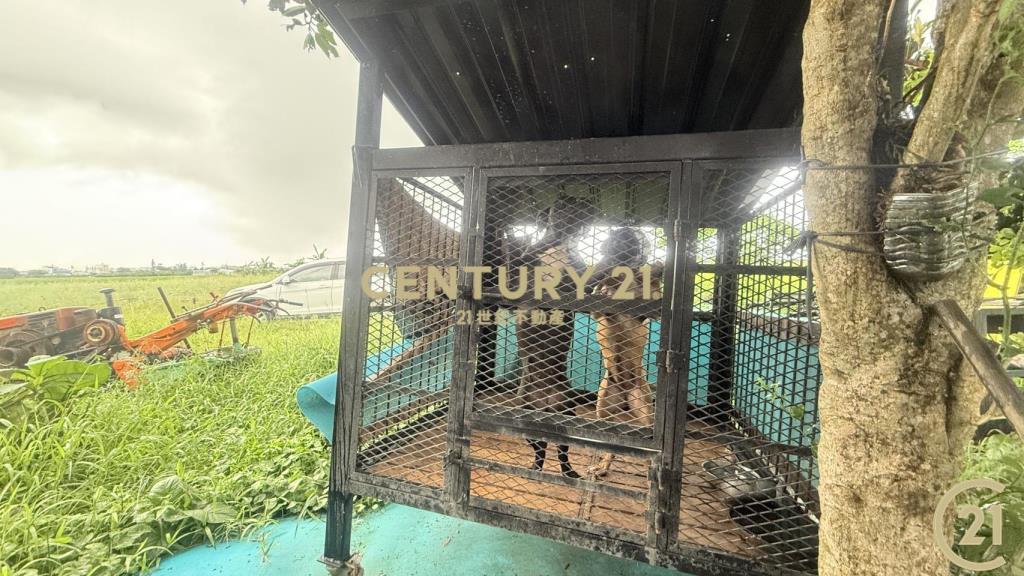 市郊有房有倉庫8分農地