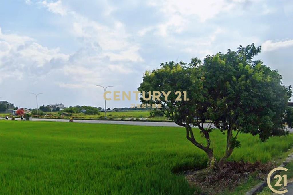 臨海路農4點2分