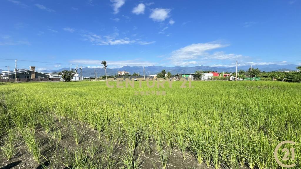 臨海路農4點2分