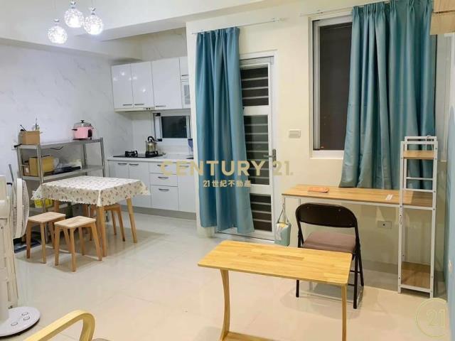 龍萊平車亮眼2房