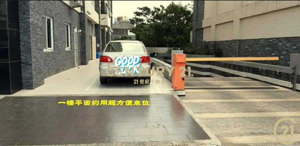 龍萊平車亮眼2房