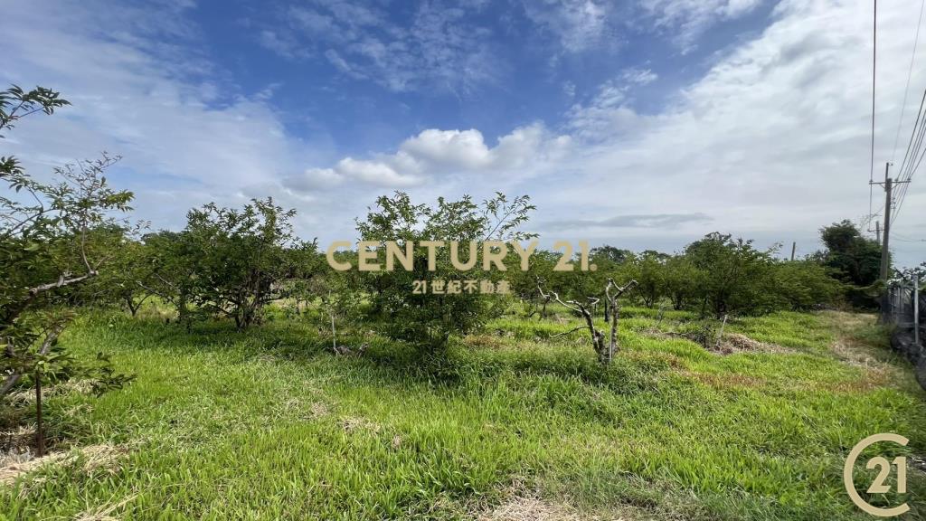 低總價2分7近市區農地