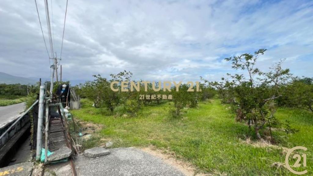 低總價2分7近市區農地