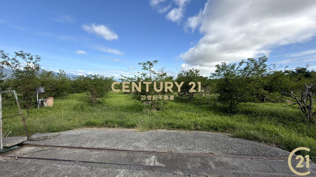 低總價3分4近市區農地