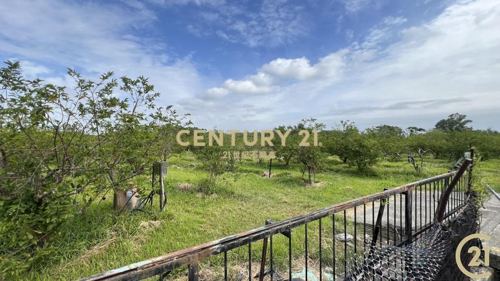 低總價3分4近市區農地