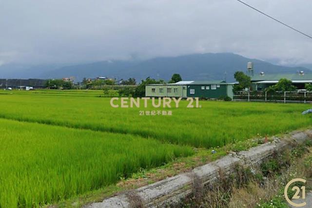 大豐段八分寶農地