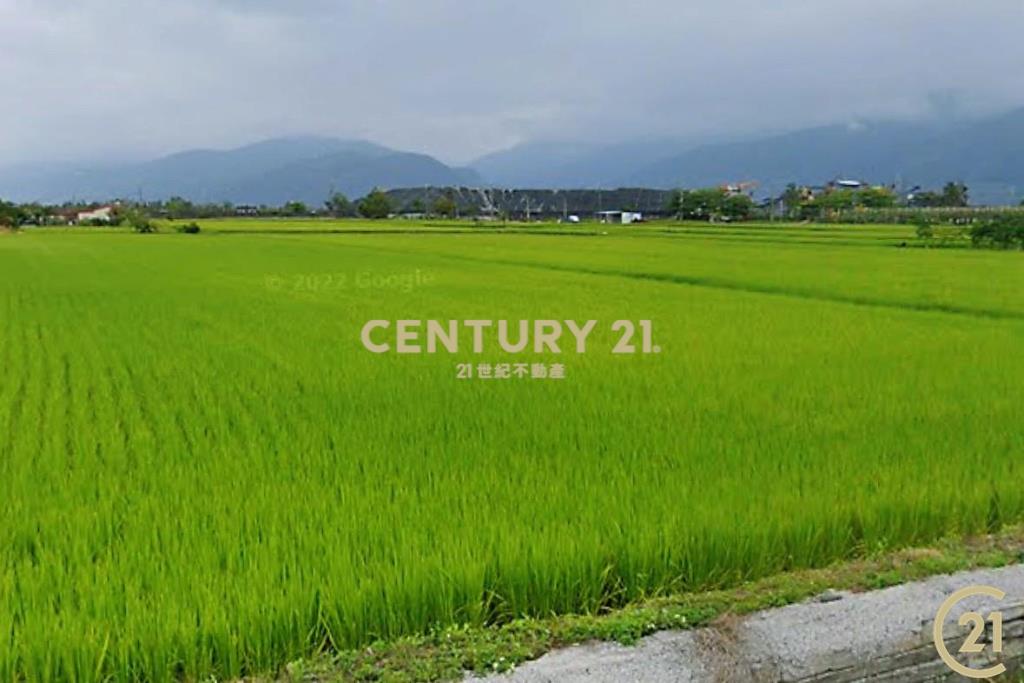 大豐段八分寶農地