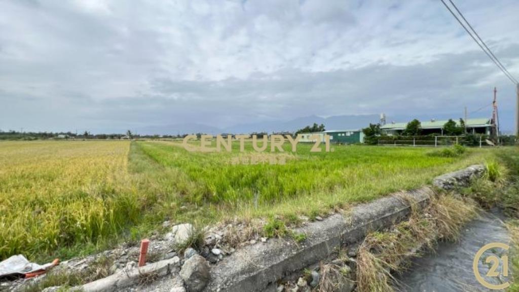 大豐段八分寶農地