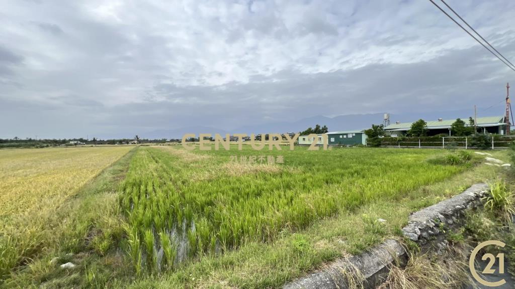 大豐段八分寶農地