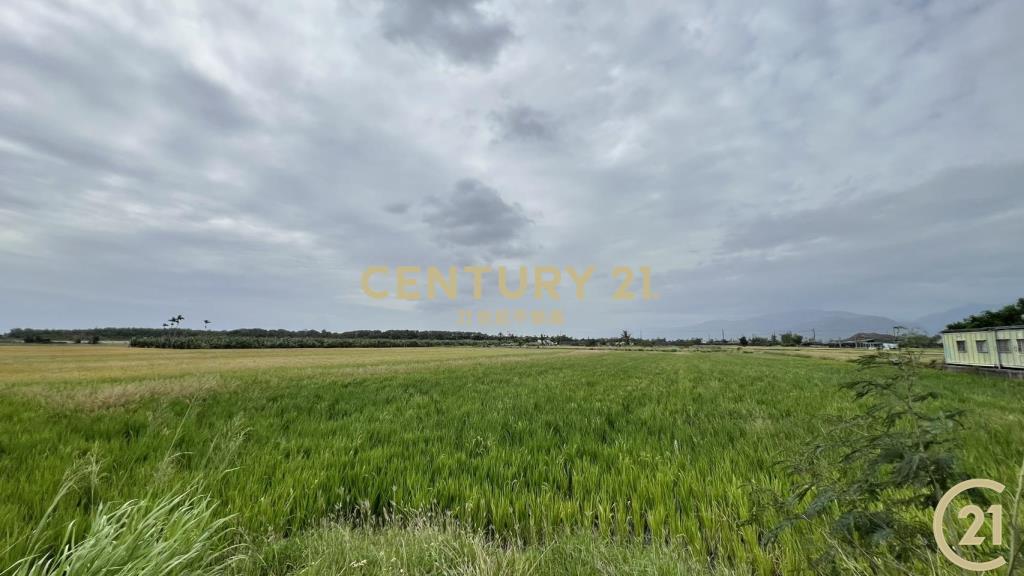 大豐段八分寶農地