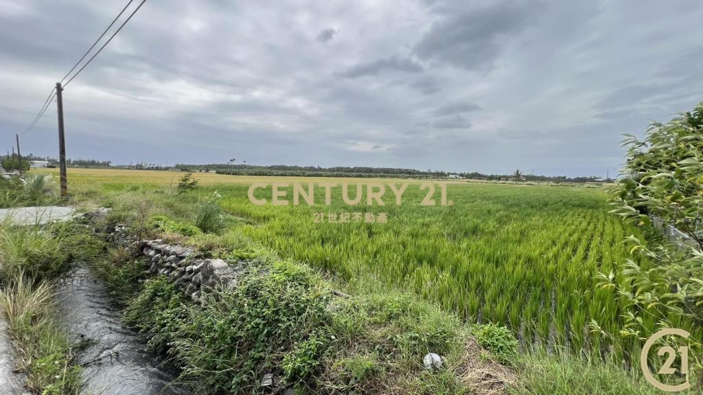 大豐段八分寶農地