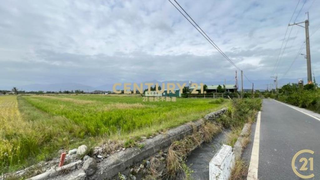 大豐段八分寶農地