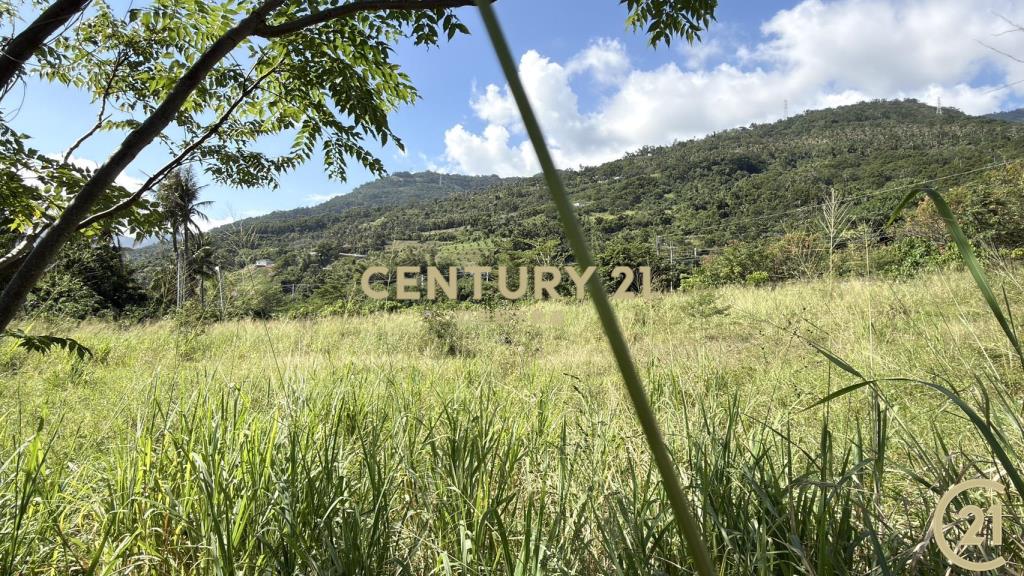 太麻里重劃區海景建地