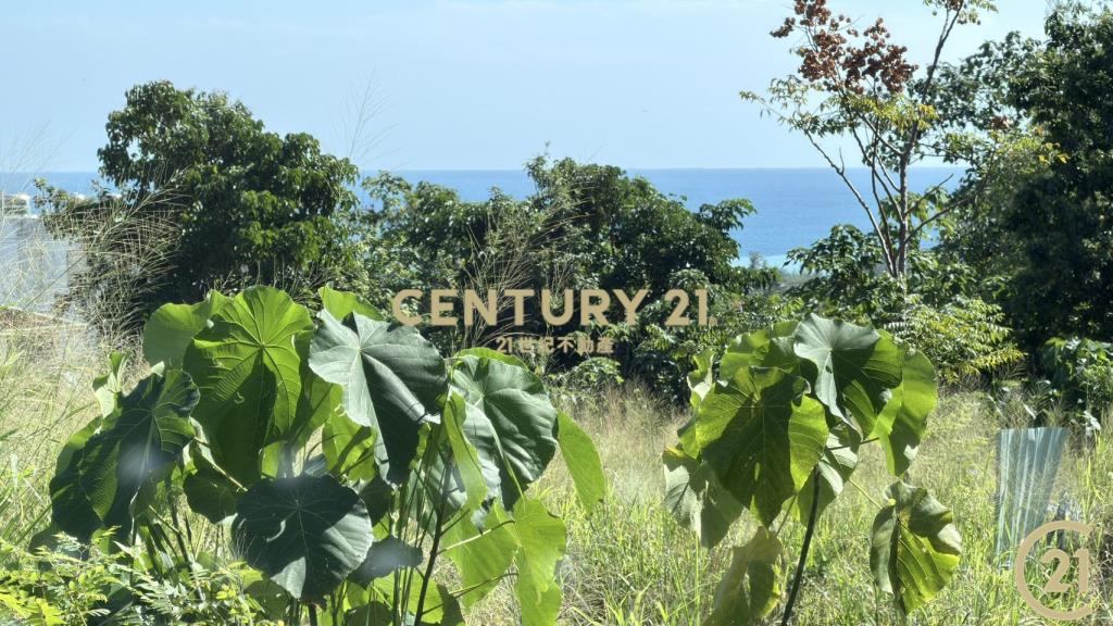 太麻里重劃區海景建地