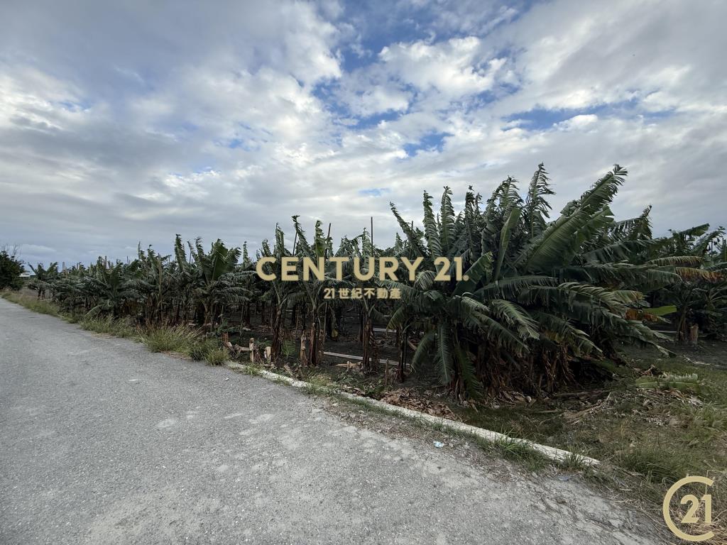 豐源三角窗農地