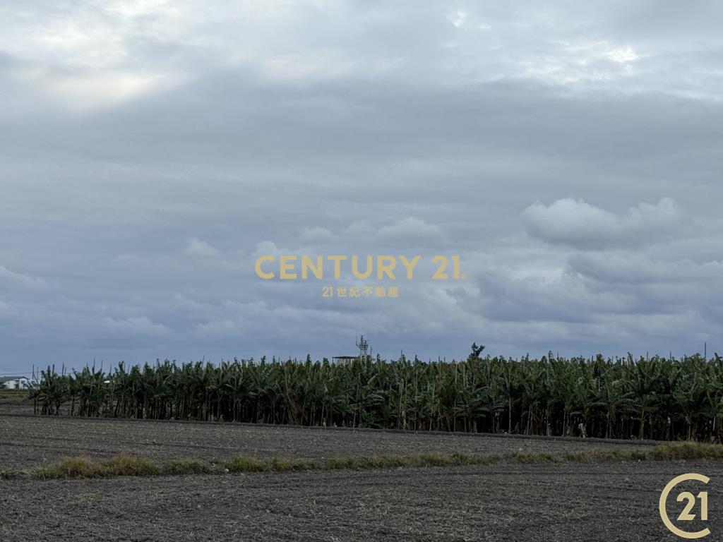 豐源三角窗農地