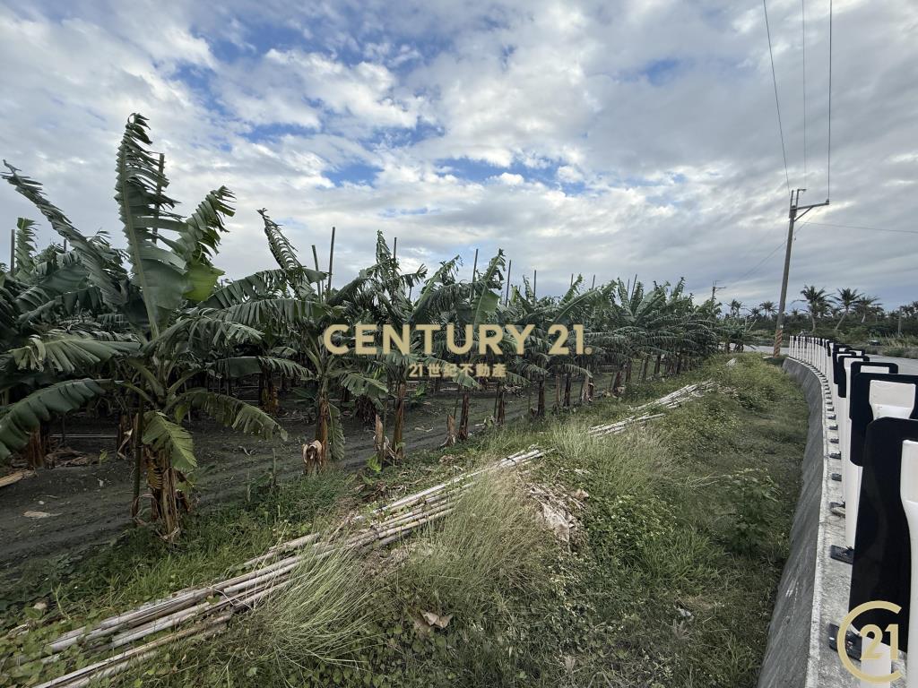 豐源三角窗農地