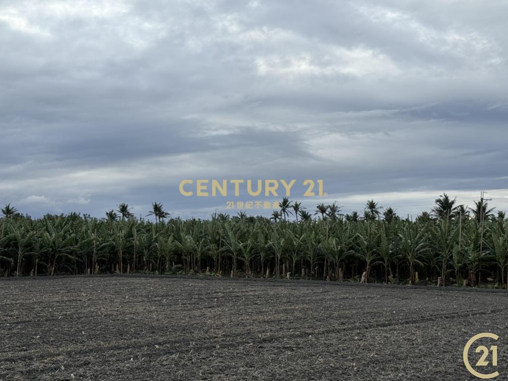 豐源三角窗農地