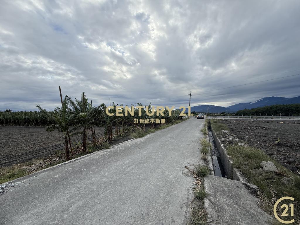 豐源三角窗農地