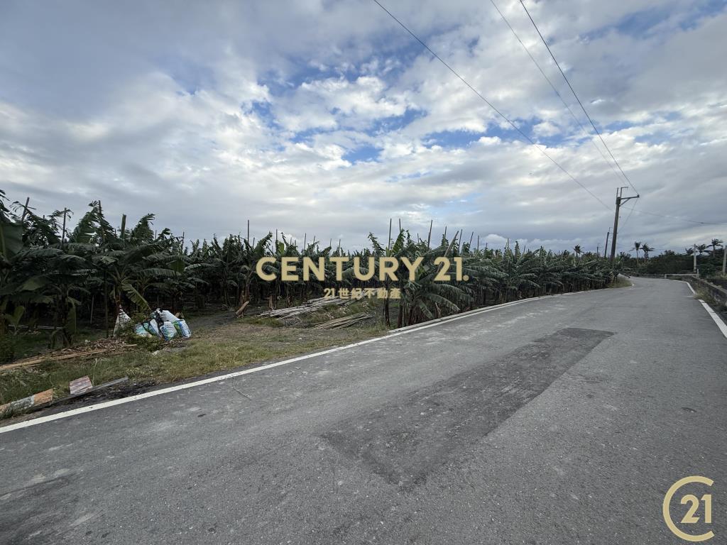 豐源三角窗農地