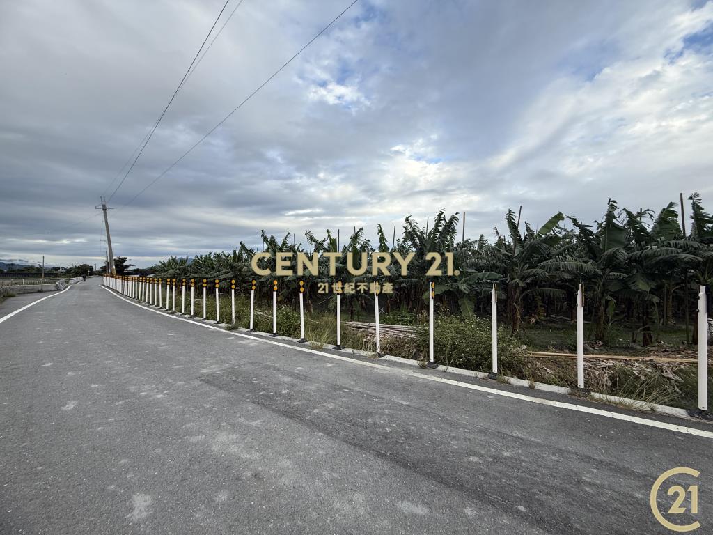 豐源三角窗農地