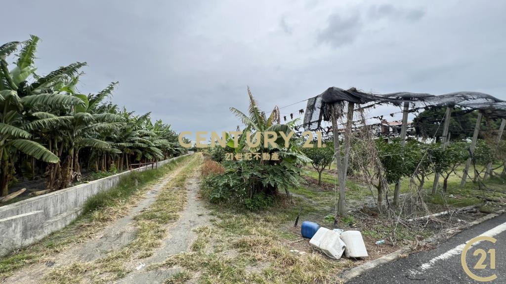 豐富百川8分農地
