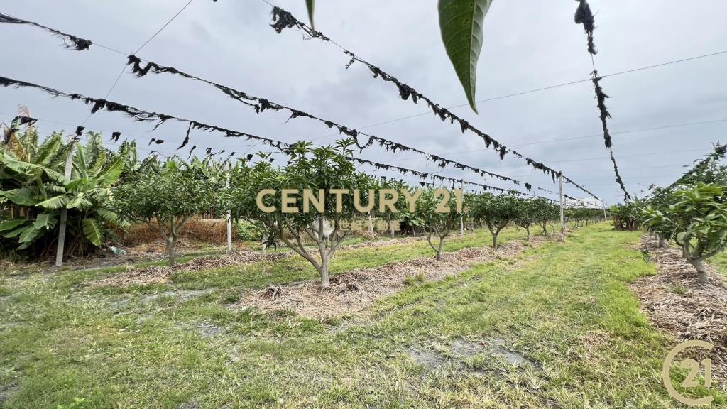 豐富百川8分農地