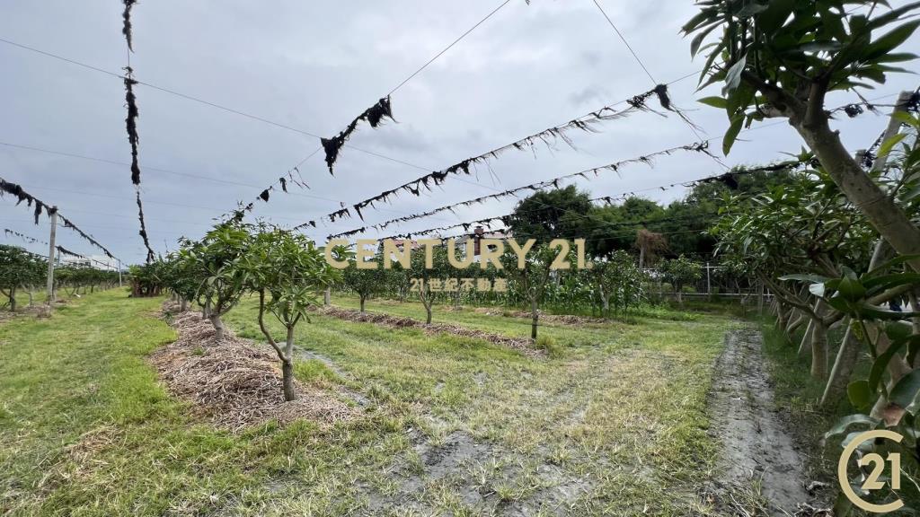 豐富百川8分農地