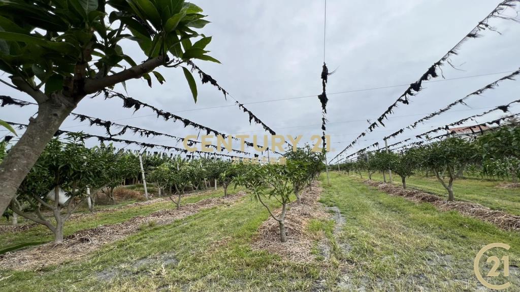 豐富百川8分農地