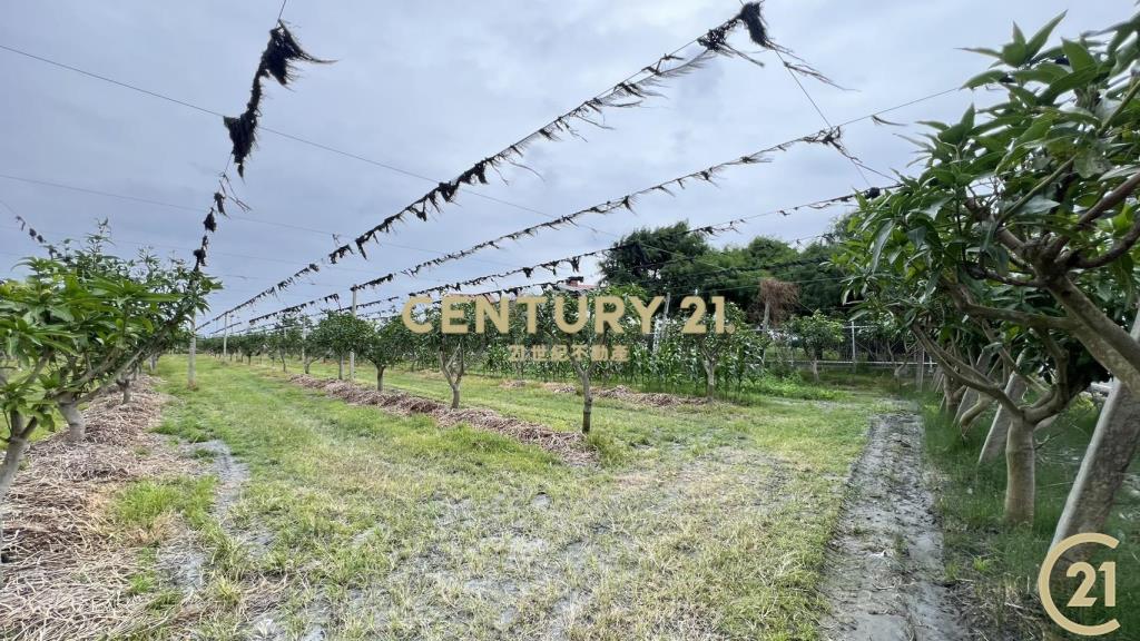 豐富百川8分農地