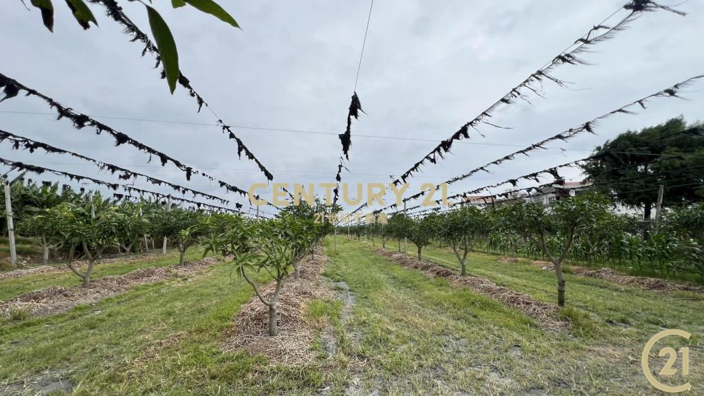 豐富百川8分農地