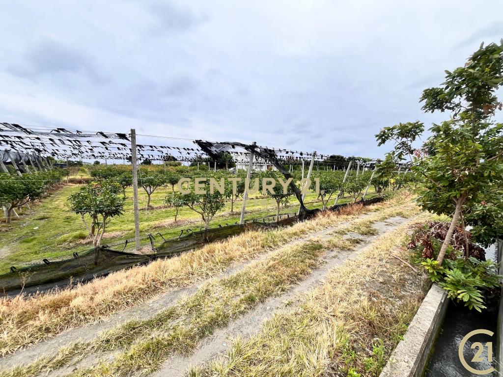 豐富百川8分農地