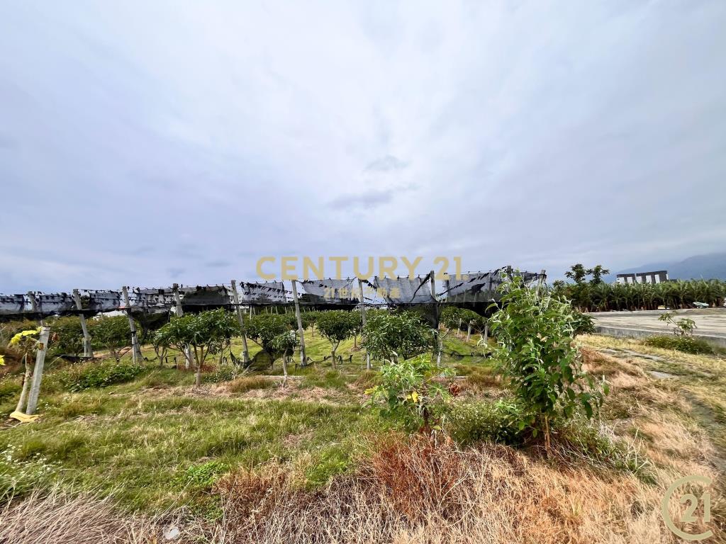 豐富百川8分農地