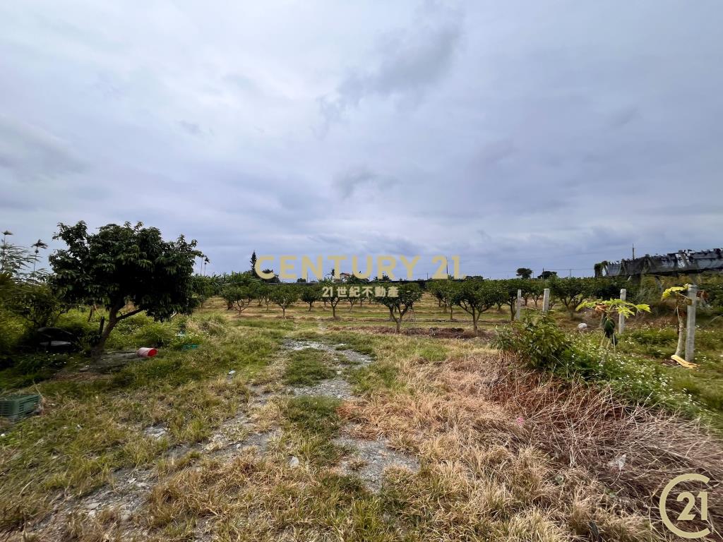 豐富百川8分農地