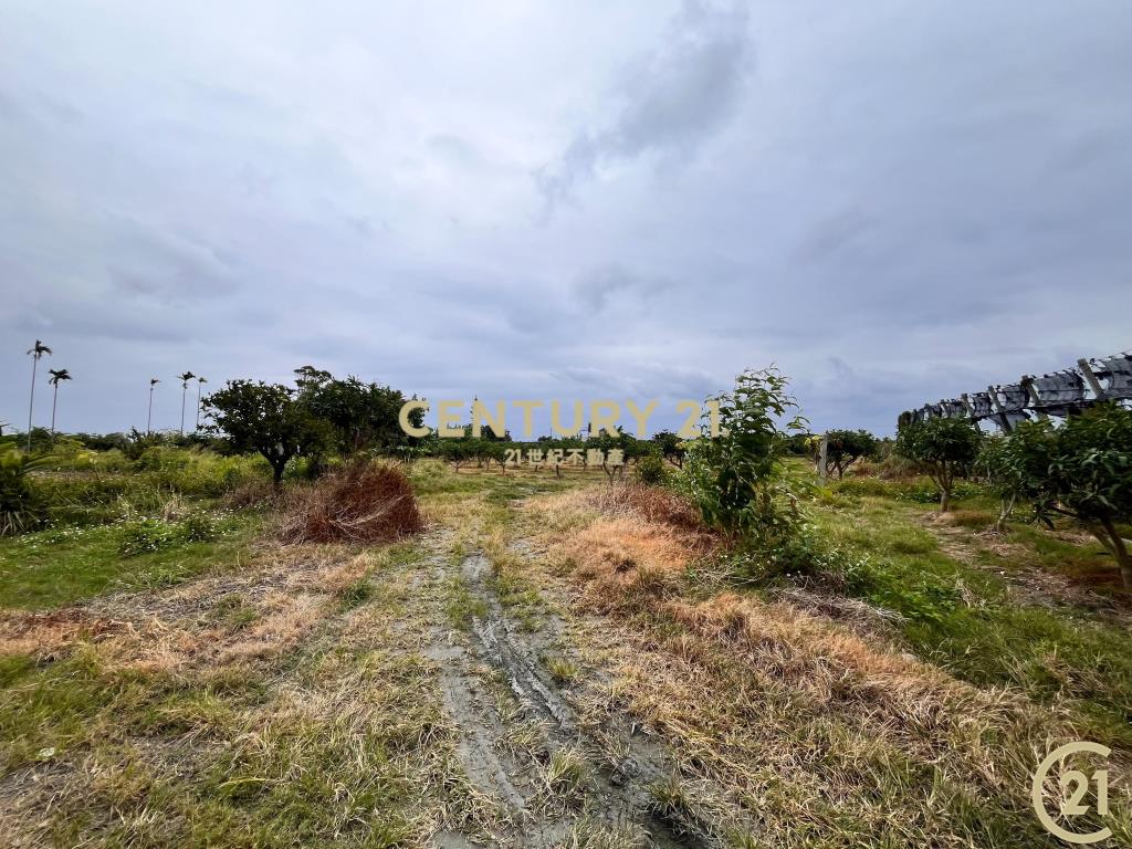 豐富百川8分農地