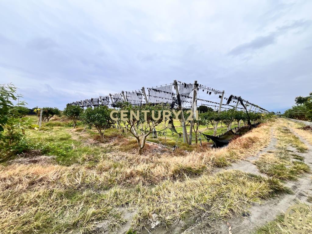 豐富百川8分農地