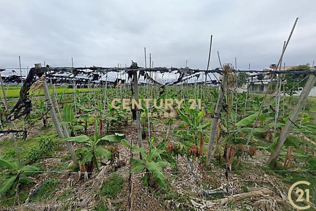 豐富百川8分農地