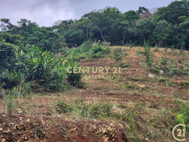 太麻里超視野原保農地