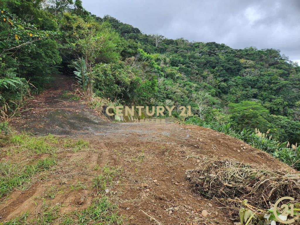 太麻里超視野原保農地