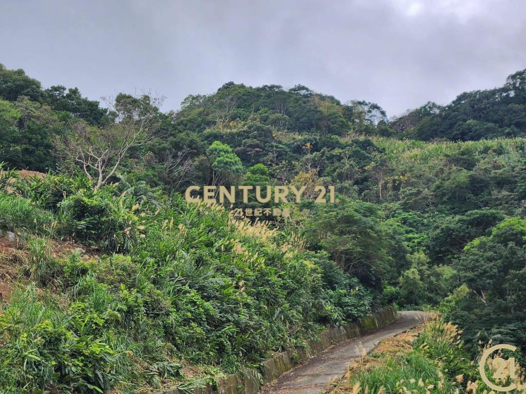 太麻里超視野原保農地