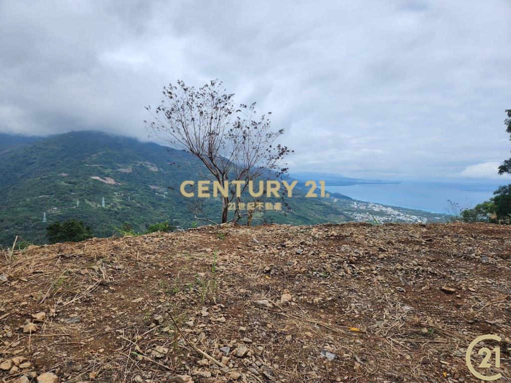 太麻里超視野原保農地
