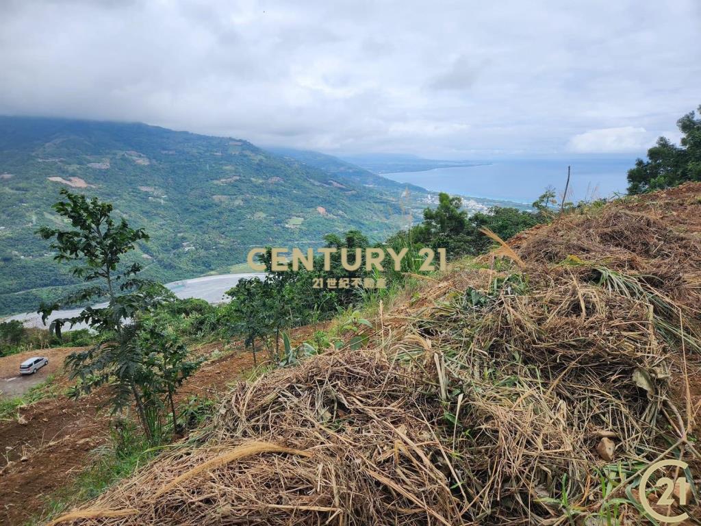 太麻里超視野原保農地
